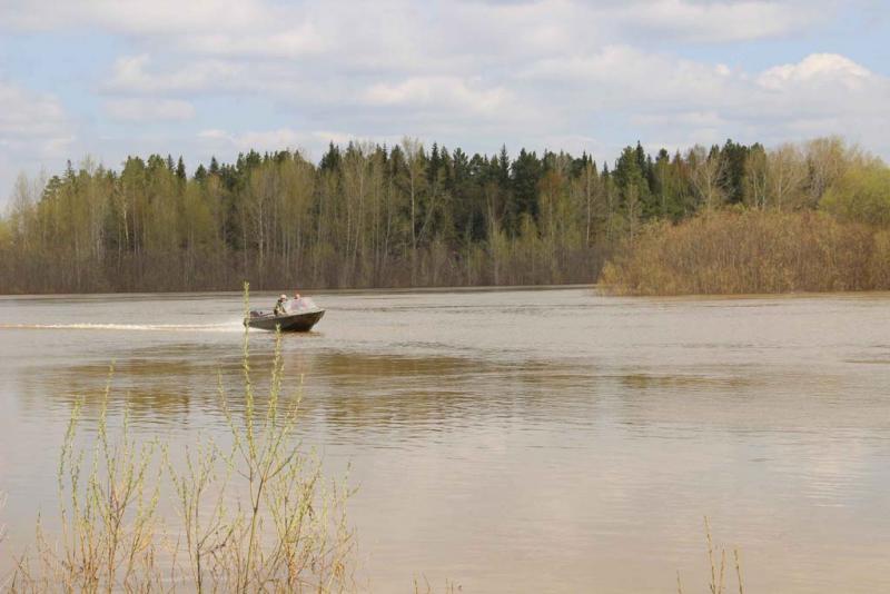 Погода томская область зырянский окунеево