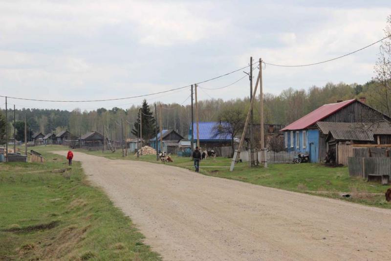 Погода томская область зырянский окунеево